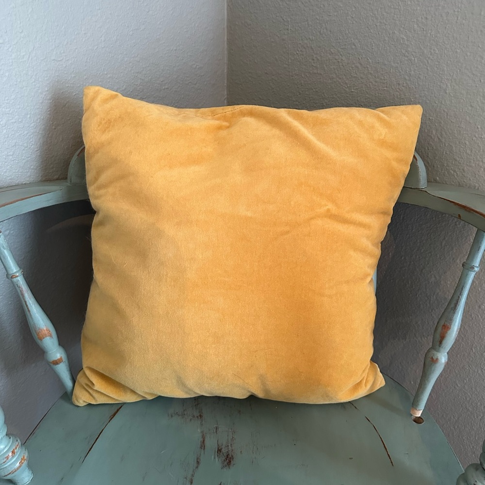 World Market pillow bundle!